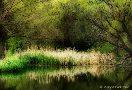 Spring Pond