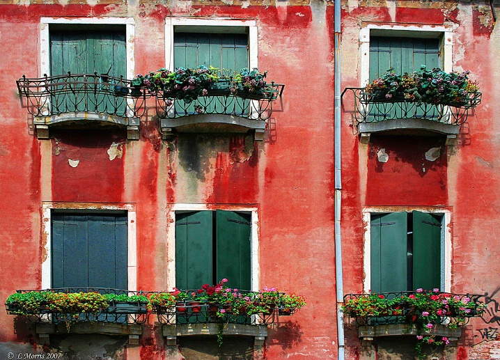 Window Boxes