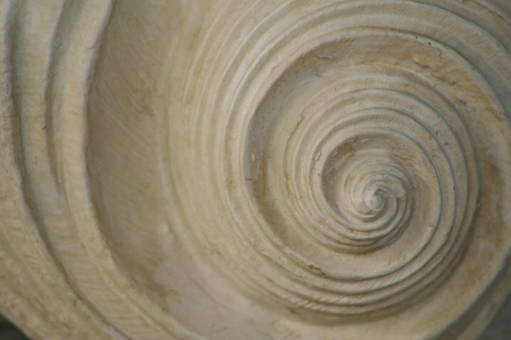 Faux Shell Swirl