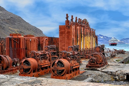 Whaling Station Ruins