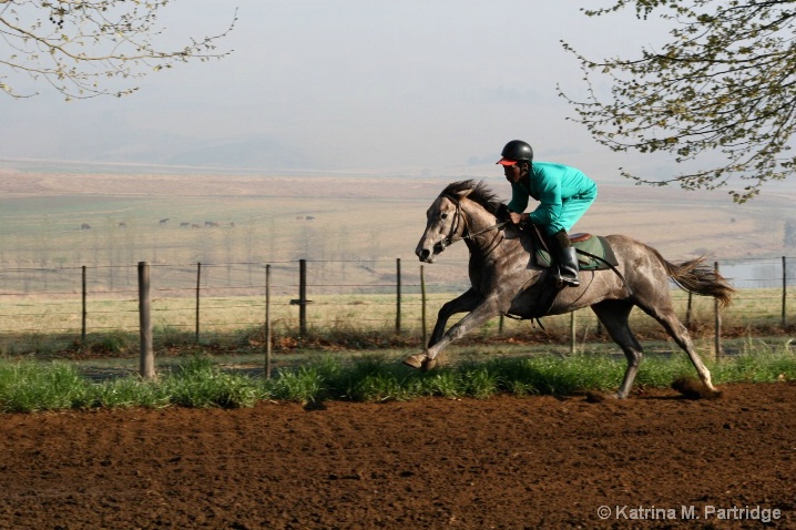 Morning trackwork, South Africa