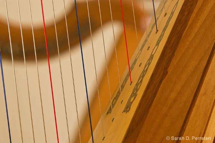 Harp strings 