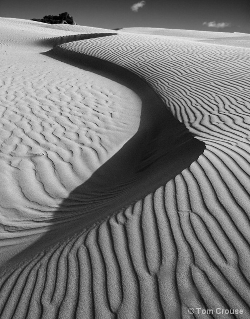 Oceano Dunes Sunset #1