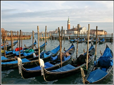 Gondolas in Venice