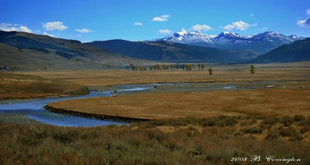 covington_8-yellowstone.gif