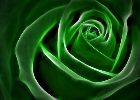 Irish Rose