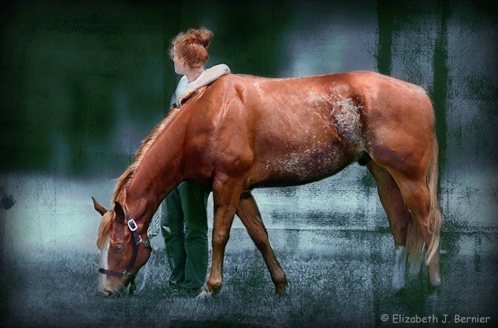 The Roan and the Redhead