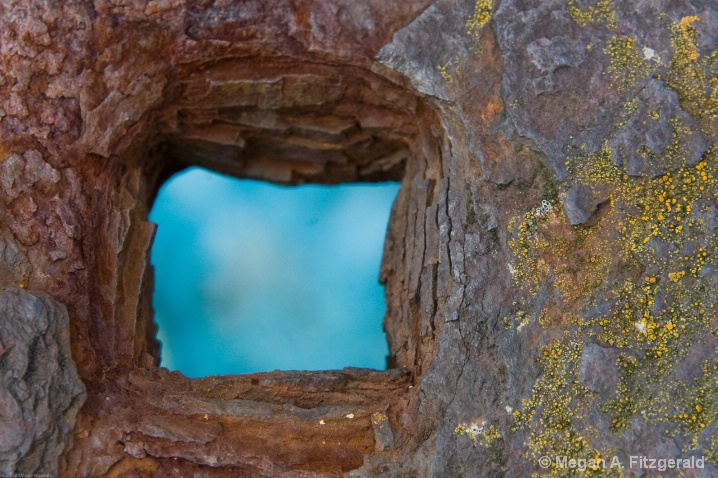 Good to Go - Rusted metal, St Ives, Cornwall, UK