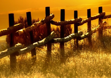 Salt Marsh Fence