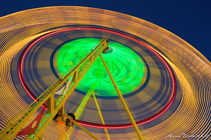 Fun at the Fair