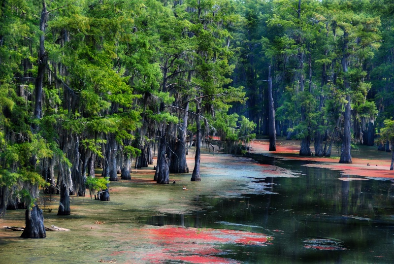 Another North End of Bayou Desiard