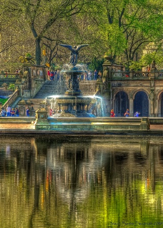 Central Park Fountain and Reflection