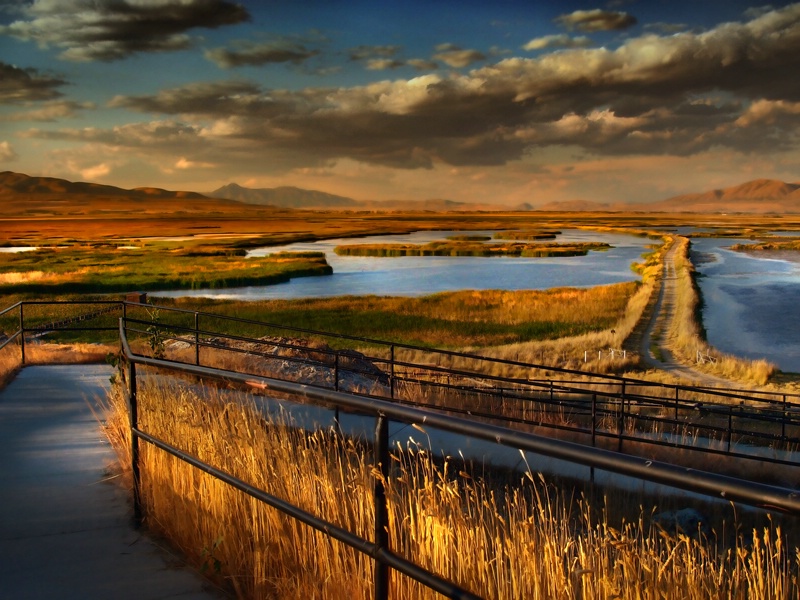 Walkway to Salt Creek Marsh Wildlife Area