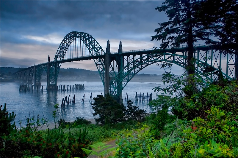 Coastal Morning