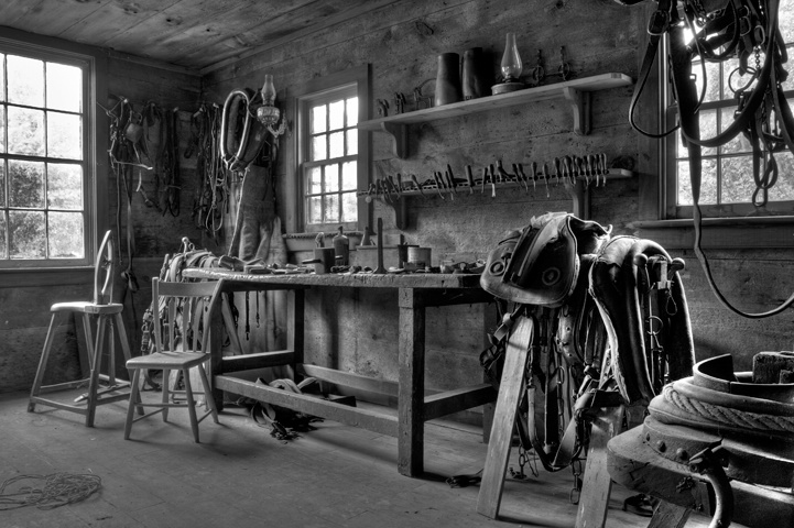 Horse Tack