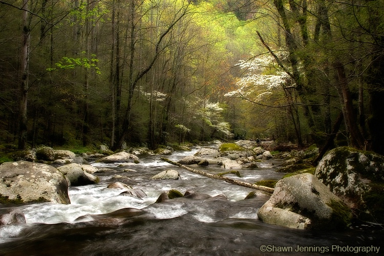 Smoky Mountain Memories