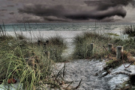 Bad Day At The Beach