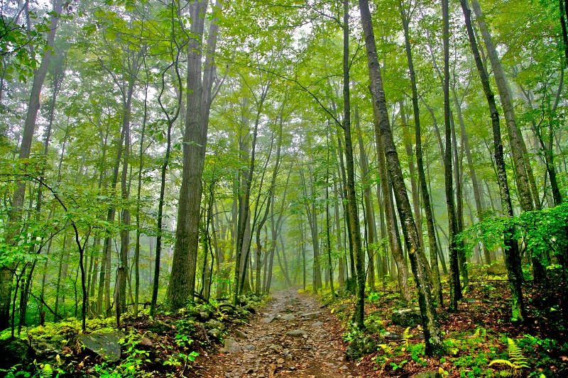 Blue Ridge Appellation Mountains