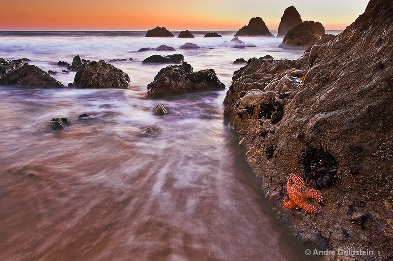 Low Tide