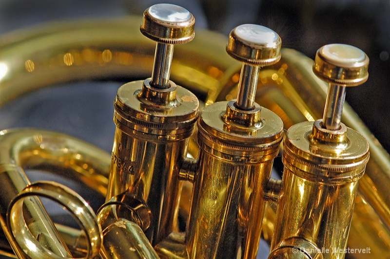 Baritone Horn