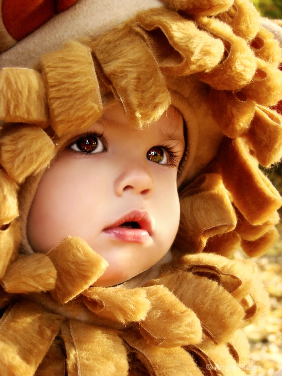 Little Lion