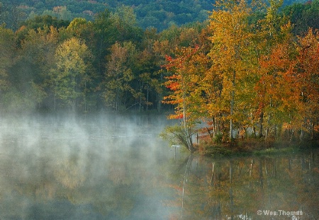 A Misty Autumn Morning.