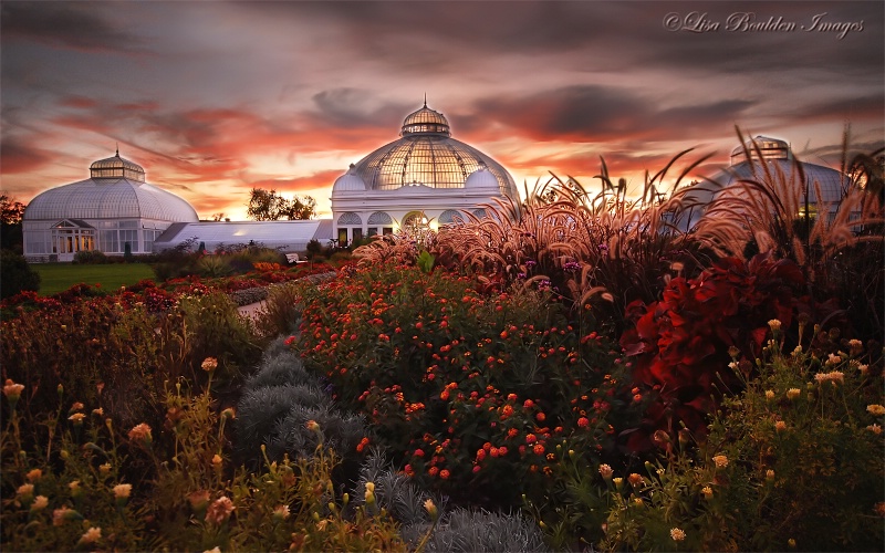 Botanical Garden Sunset