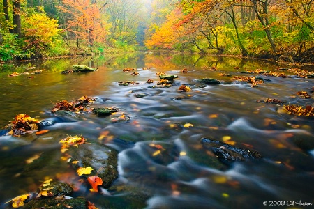 Fall 2008 on the Octoraro Creek