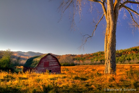 Barn