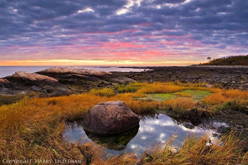 Oasis - Odiorne Point, NH