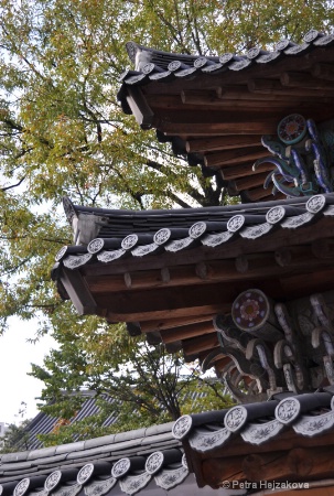 Temple Roof - Before: No Polarizer