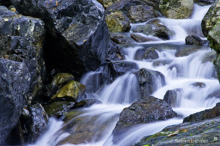 Perspective 4 - Chipmunk Creek 2