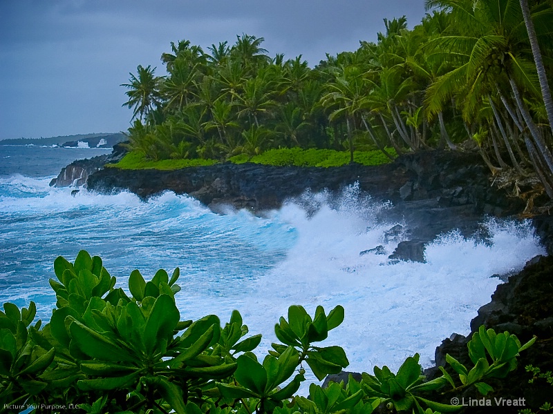 -Volcano Beach-Hawaii