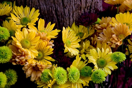 The Beauty of an Outdoor Bouquet