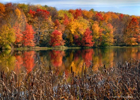 Autumn Reflections