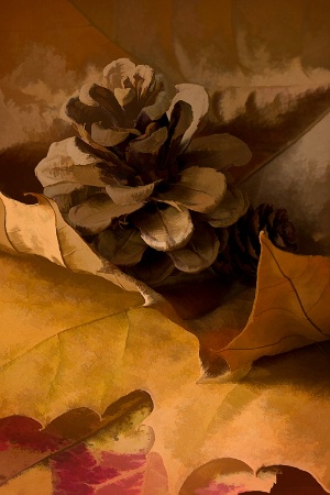 Pine Cone and Leaves