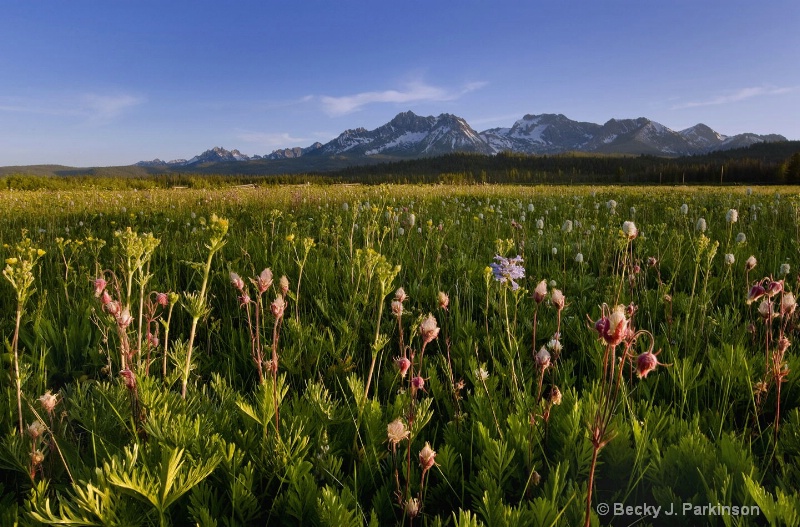 Stanley Basin