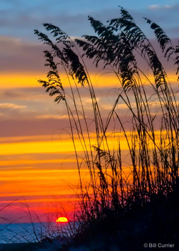 Beachside Sunrise