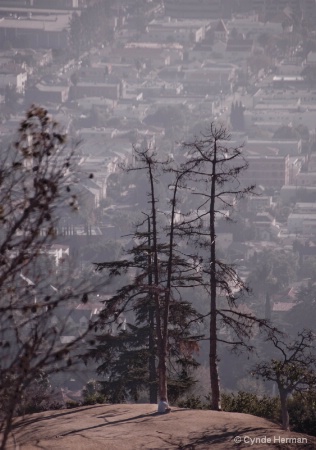 Griffith Park - California