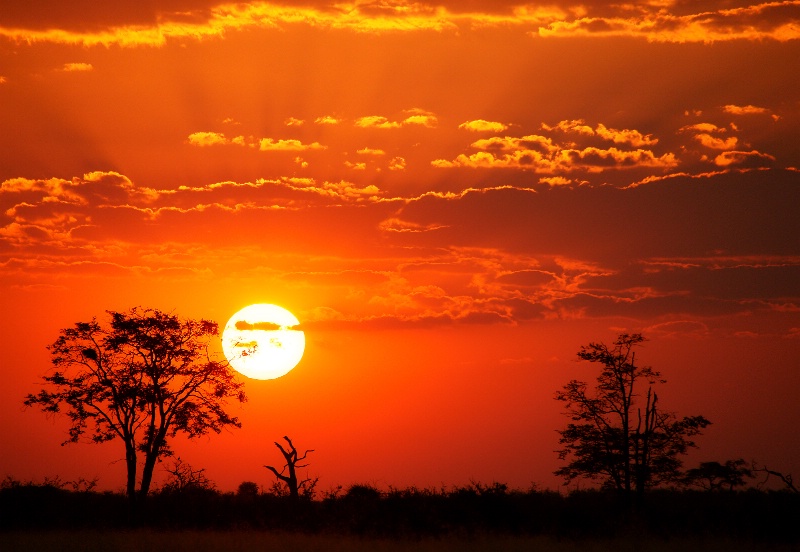 African Sunset