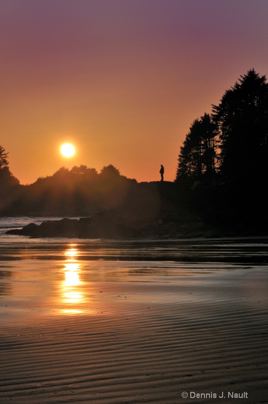 Tofino Sun