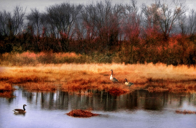 Morning on the Marsh