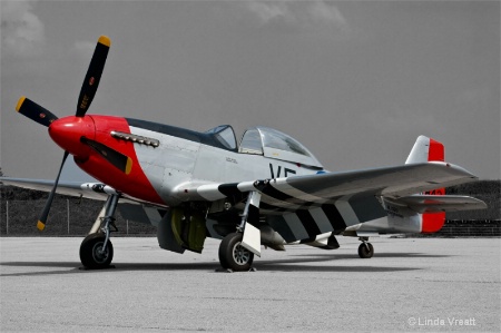 p51 mustang-bw/color