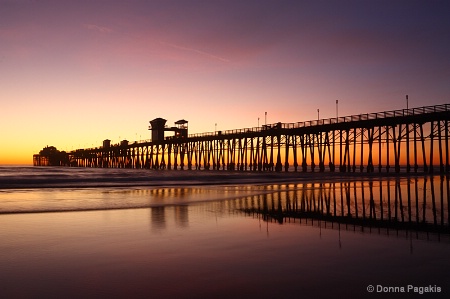 Extremely Low Tide at the Pier