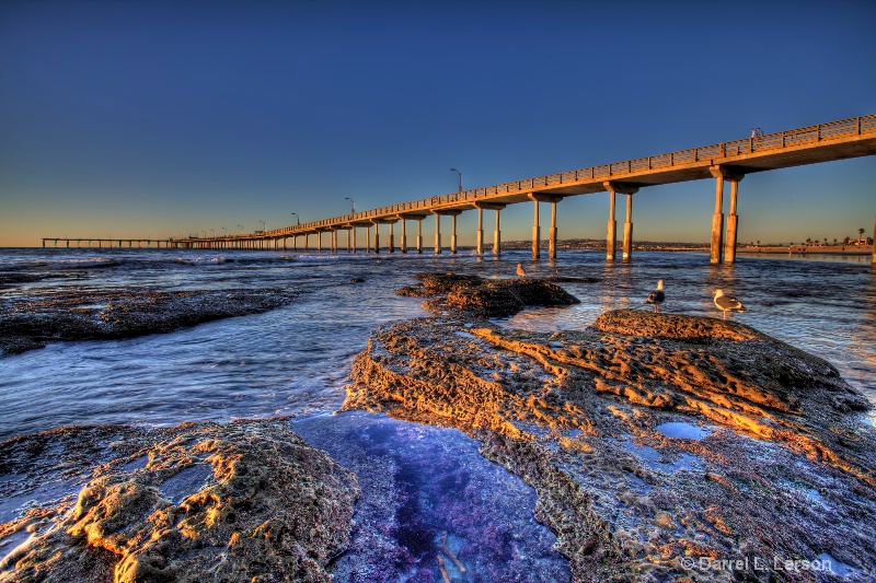 OB Tide Pools