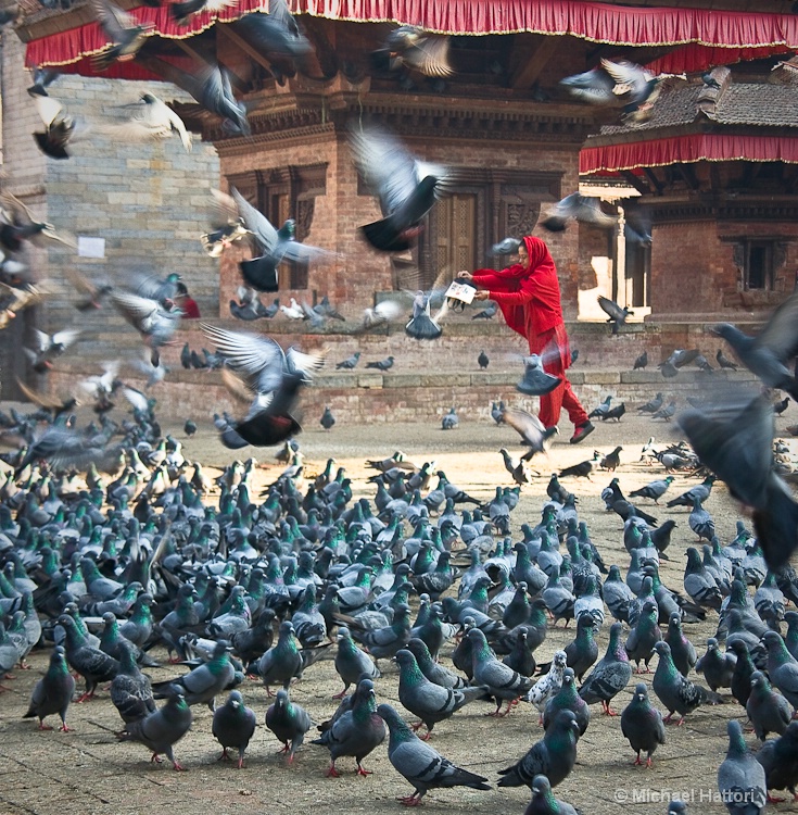 Feed the Birds, Feed the Birds