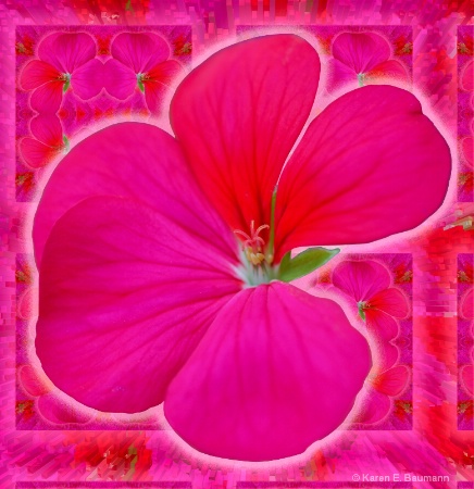 #4 -geranium abstract - after