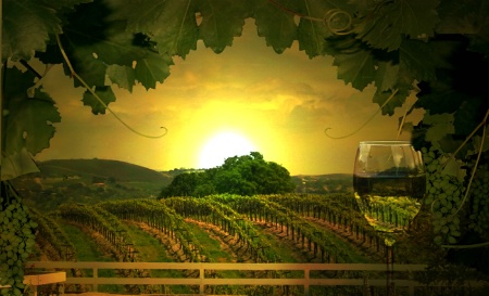 Wine Country Sunset