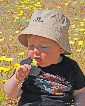 Flower Child