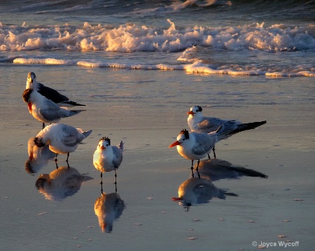 Sunrise Gathering